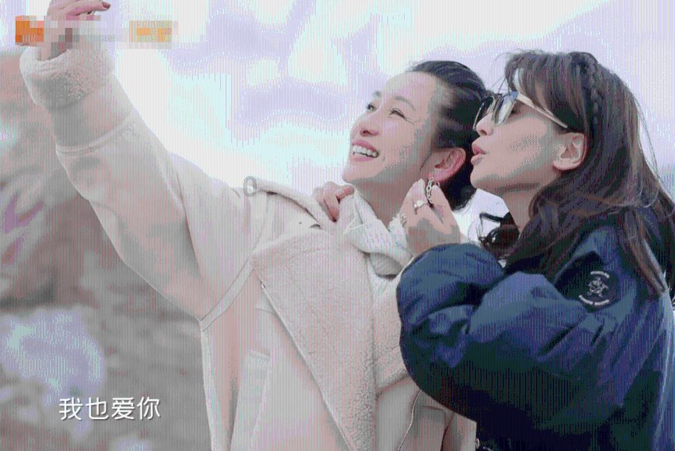 拯救枯树